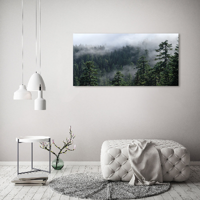 Photo printed on glass Forest fog