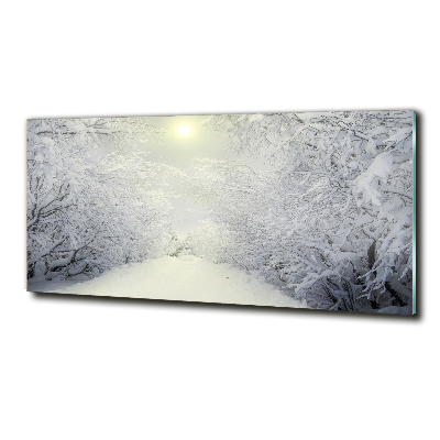 Photo printed on glass A beautiful forest in winter