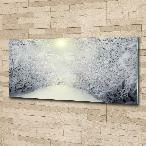 Photo printed on glass A beautiful forest in winter