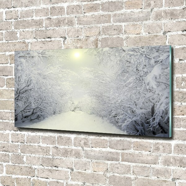 Photo printed on glass A beautiful forest in winter