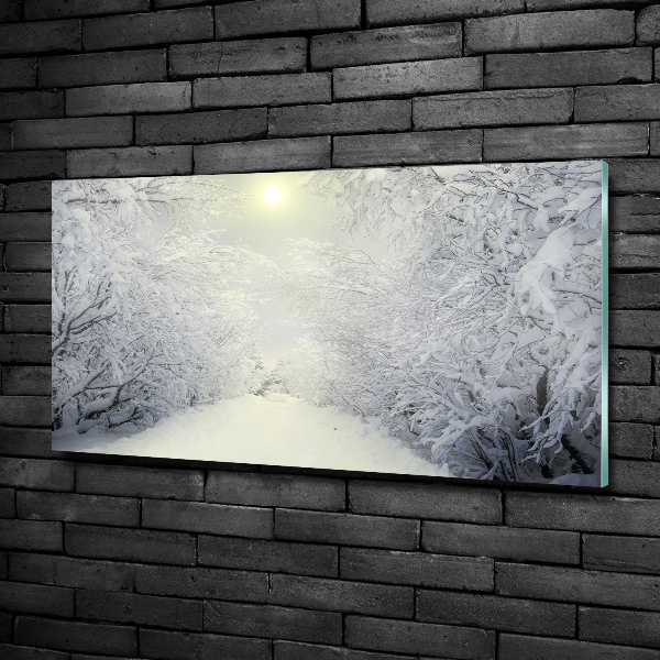 Photo printed on glass A beautiful forest in winter