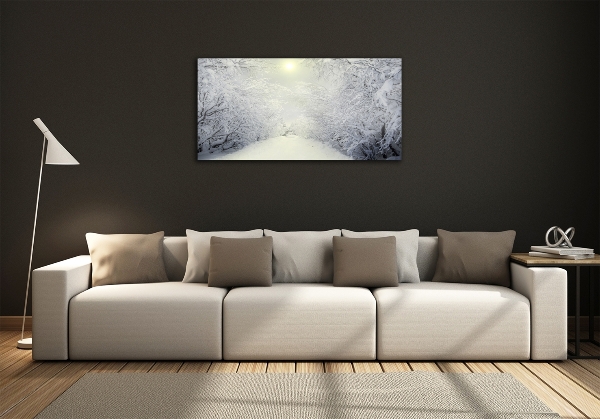 Photo printed on glass A beautiful forest in winter