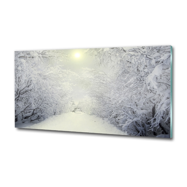 Photo printed on glass A beautiful forest in winter