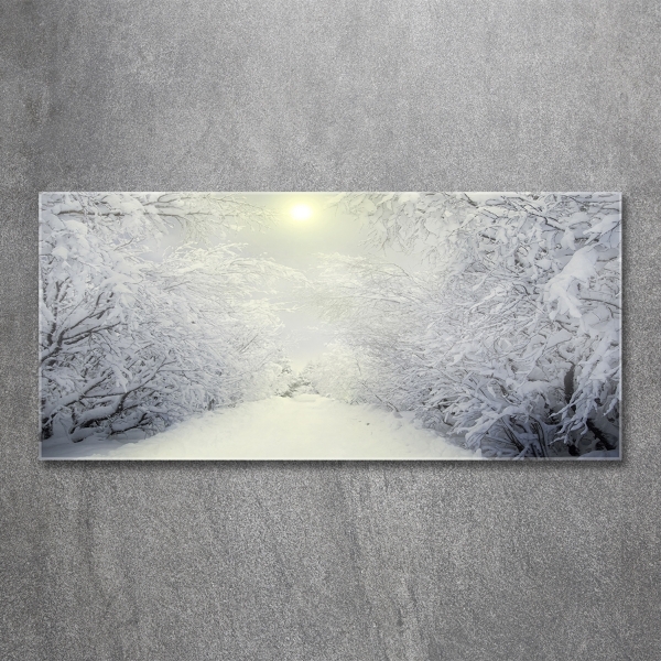 Photo printed on glass A beautiful forest in winter