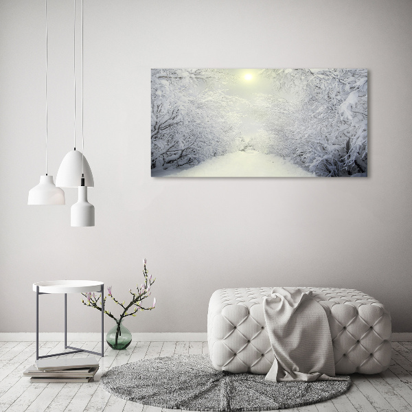 Photo printed on glass A beautiful forest in winter