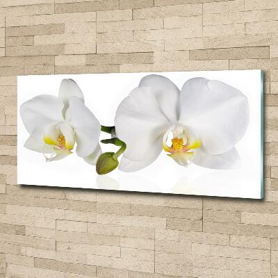 Glass picture print Orchid