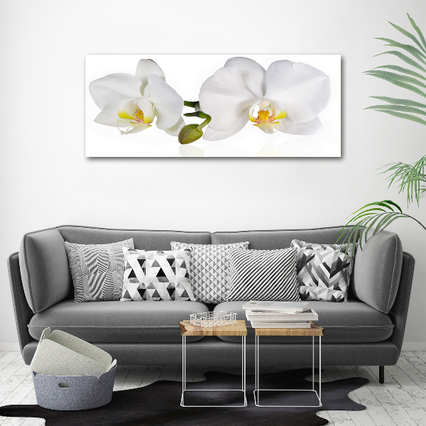 Glass picture print Orchid