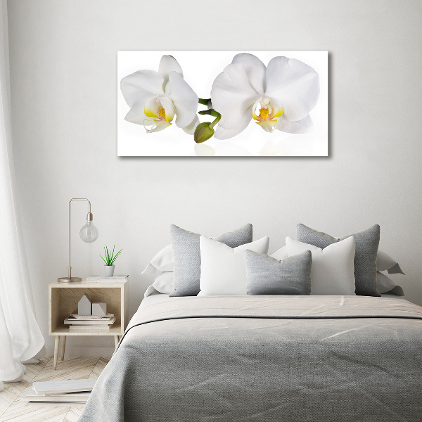 Glass picture print Orchid