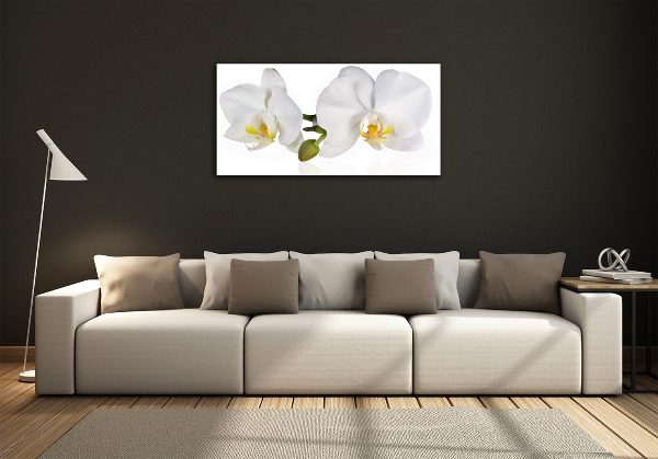 Glass picture print Orchid