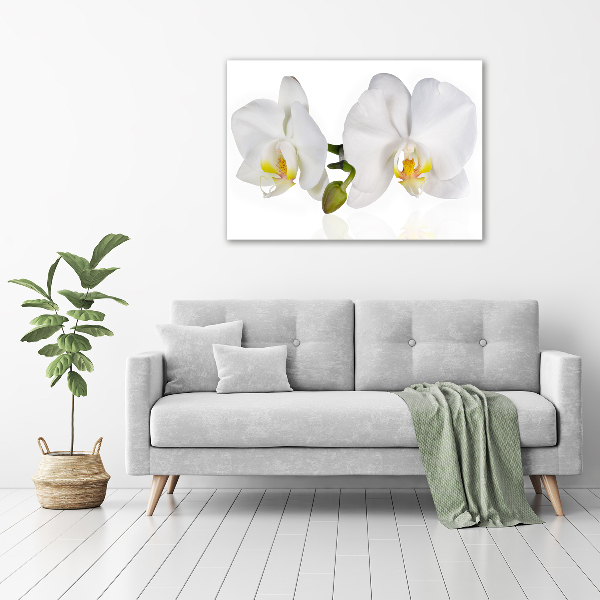 Glass picture print Orchid