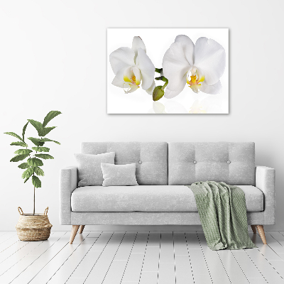 Glass picture print Orchid