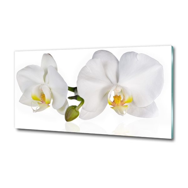 Glass picture print Orchid