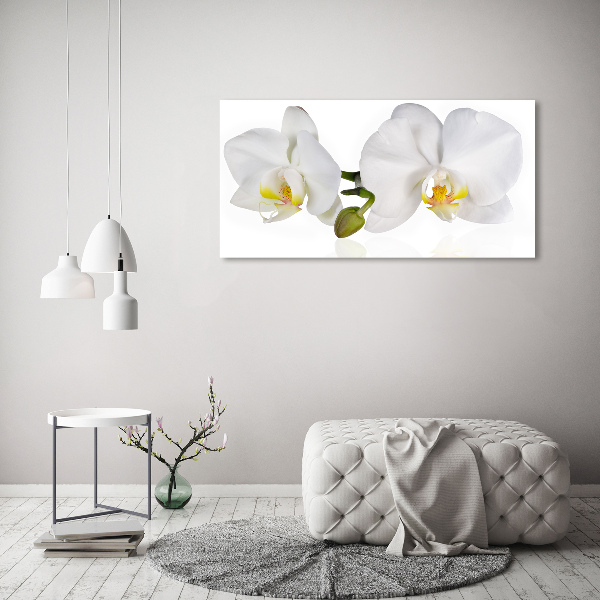 Glass picture print Orchid