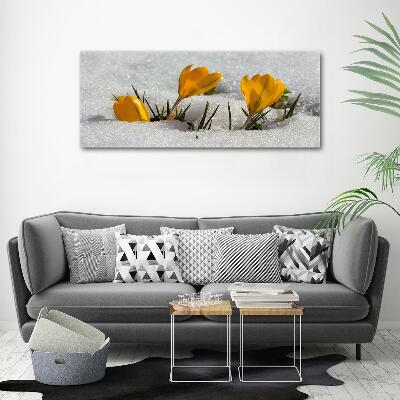 Glass picture print Crocuses in the snow