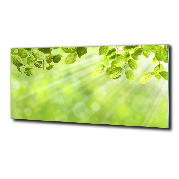 Glass picture print Leaves