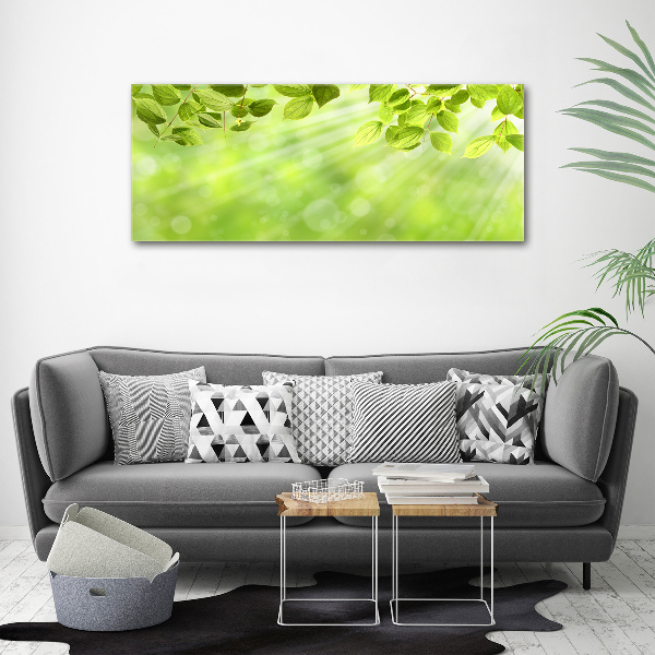 Glass picture print Leaves