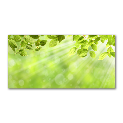 Glass picture print Leaves