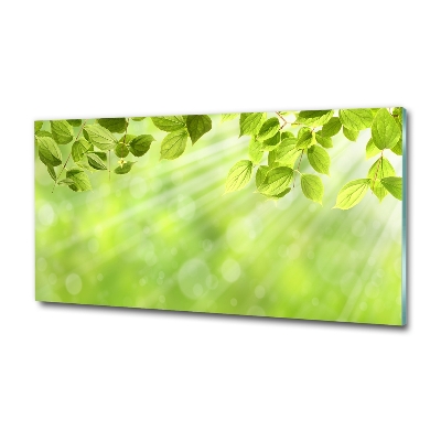 Glass picture print Leaves