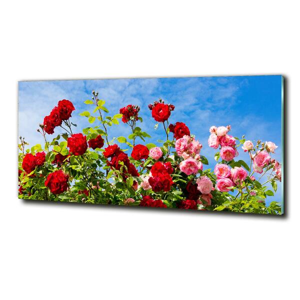 Wall art on glass Wild roses