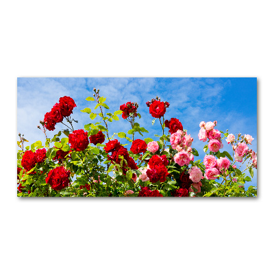 Wall art on glass Wild roses