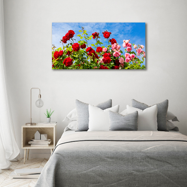 Wall art on glass Wild roses