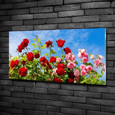 Wall art on glass Wild roses