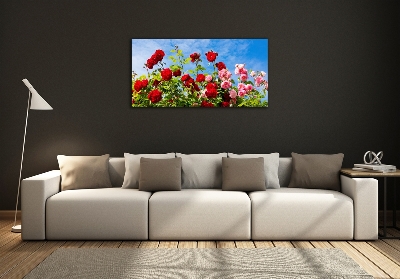 Wall art on glass Wild roses