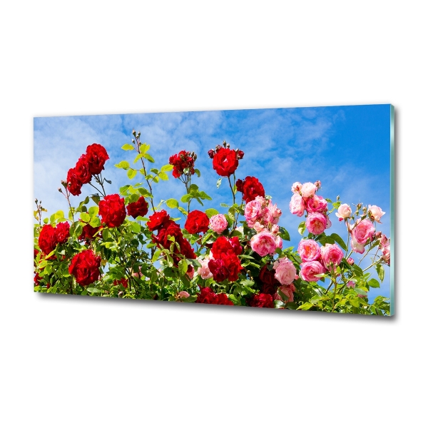 Wall art on glass Wild roses