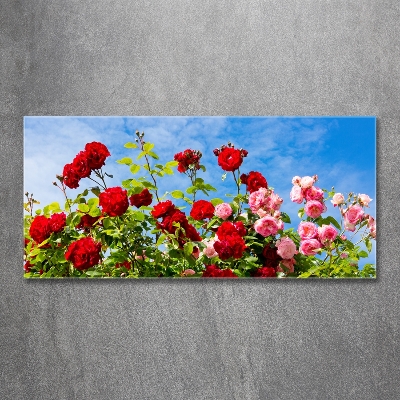 Wall art on glass Wild roses