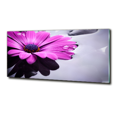 Glass wall art Gerber