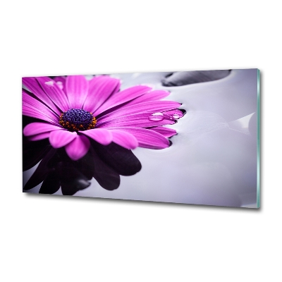 Glass wall art Gerber