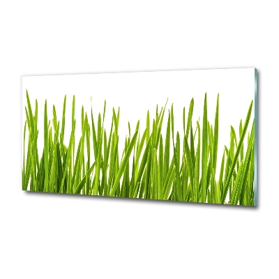 Wall art on glass Grass