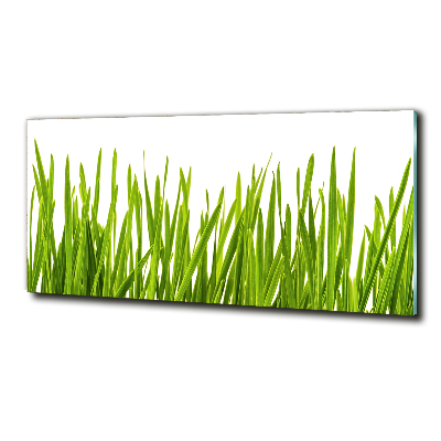 Wall art on glass Grass