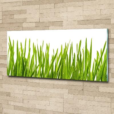 Wall art on glass Grass