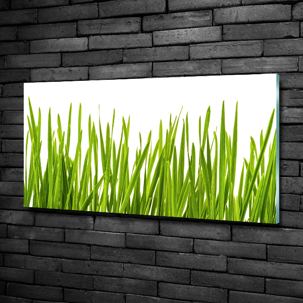 Wall art on glass Grass