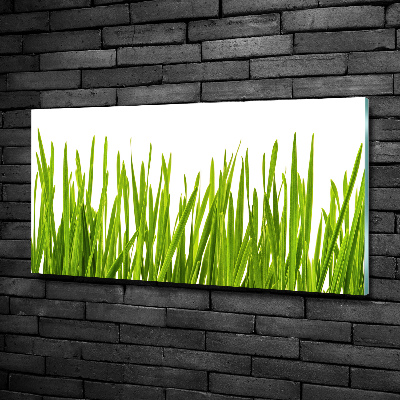 Wall art on glass Grass