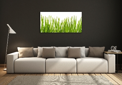 Wall art on glass Grass