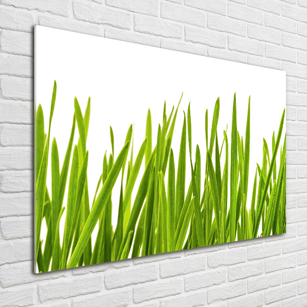 Wall art on glass Grass