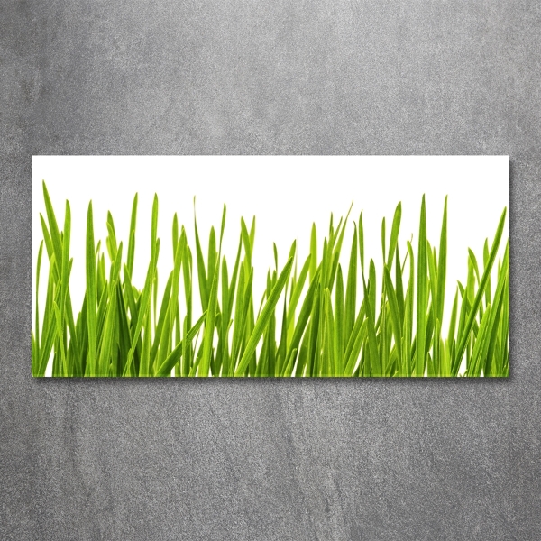 Wall art on glass Grass