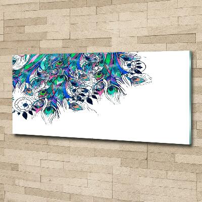 Glass picture wall art Peacock feathers