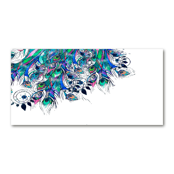 Glass picture wall art Peacock feathers