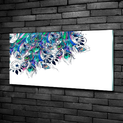 Glass picture wall art Peacock feathers