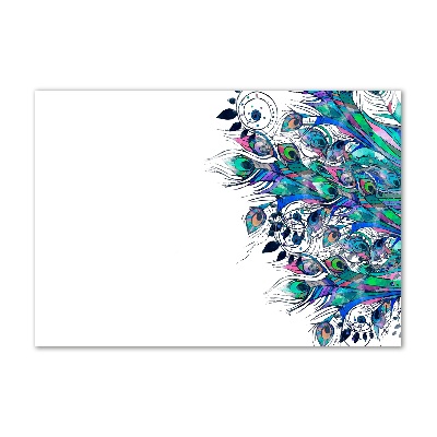 Glass picture wall art Peacock feathers