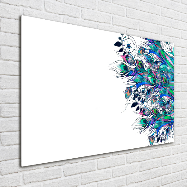 Glass picture wall art Peacock feathers