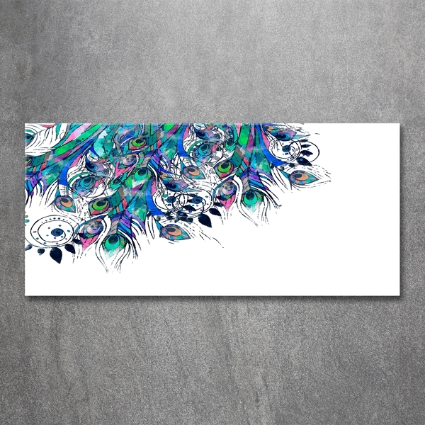 Glass picture wall art Peacock feathers