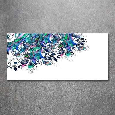 Glass picture wall art Peacock feathers