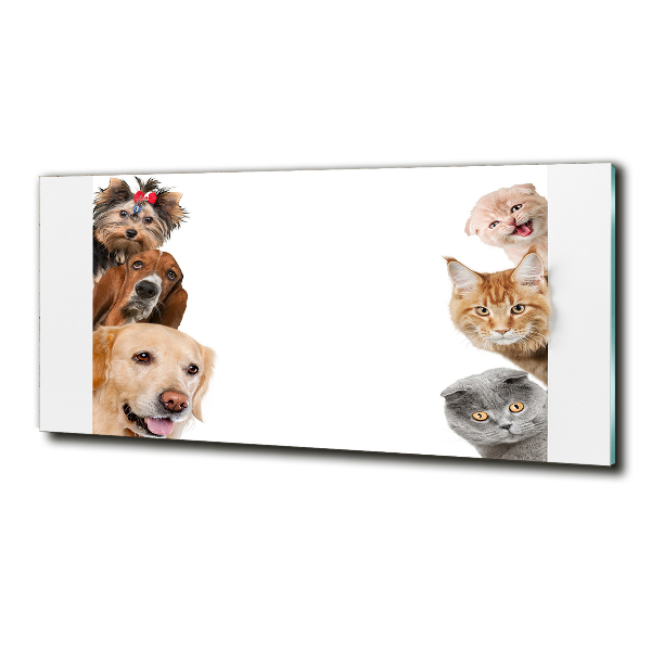 Glass wall art Dogs and cats