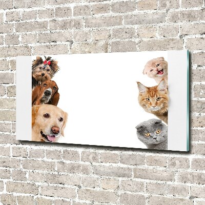 Glass wall art Dogs and cats