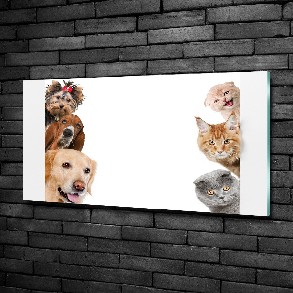 Glass wall art Dogs and cats