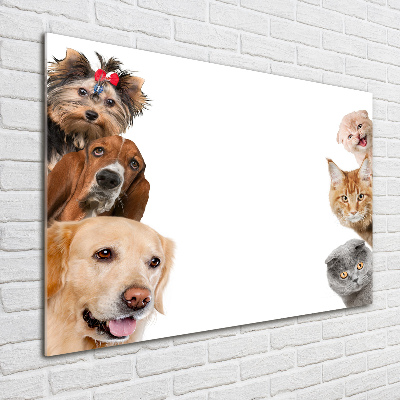 Glass wall art Dogs and cats